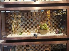 -锦泉眼镜(仓边路店)