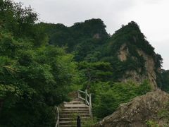 -王顺山国家森林公园