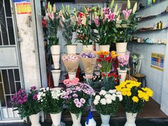 -厦门第七菜市场