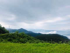 -武陵山森林公园