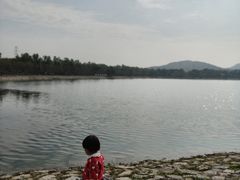 -羊山湖公园