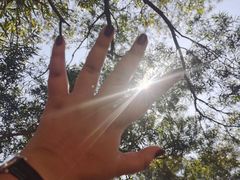 -梧桐山风景名胜区