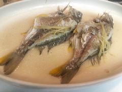 油盐姜丝蒸黄脚立-花城苑广府菜(侨鑫店)