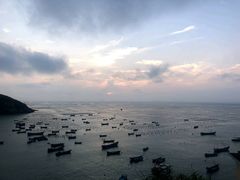-枸杞岛