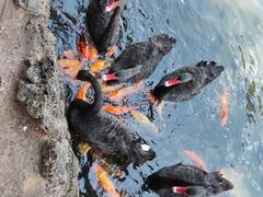 -海南热带野生动植物园