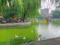 -团结湖公园