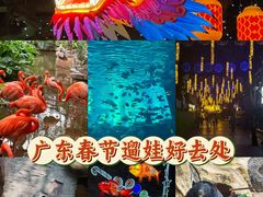 -长鹿旅游休博园