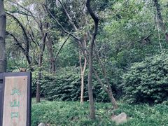 -南京市江宁方山