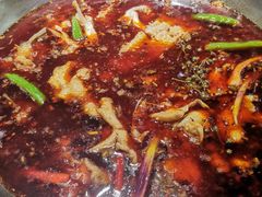 -蜀滋香鲜鱼美蛙火锅(339店)