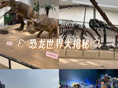 -天津自然博物馆