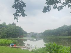 -映月湖公园