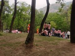 -嵖岈山风景区