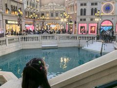 -澳门威尼斯人综合度假区
