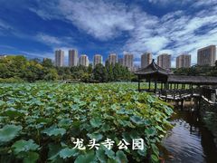 -龙头寺公园