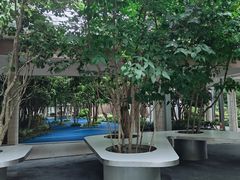 -上海市实验学校