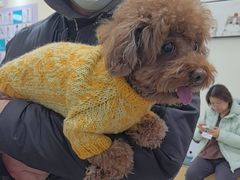 -美联众合动物医院·24h京西诊疗中心