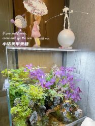 -小洁美甲美睫半永久定妆