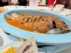 -阿五黄河大鲤鱼(英协路店)
