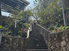 -佛山华盖山公园