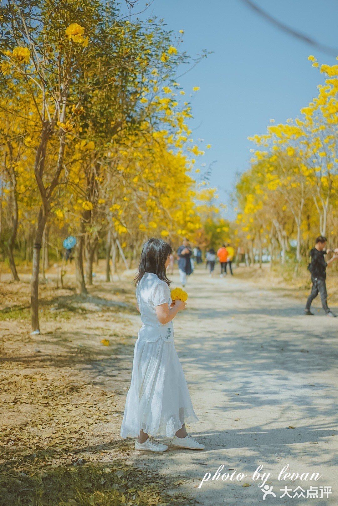 惠州周边游｜春节快乐的好去处[调皮]