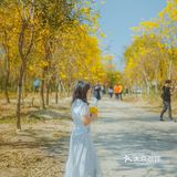 惠州周边游｜春节快乐的好去处[调皮]