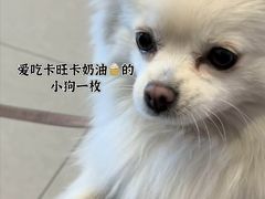 -卡旺卡(滁州乐彩城店)