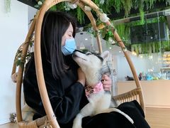 -Husky Go! 哈士奇体验馆·宠物咖啡厅狗咖