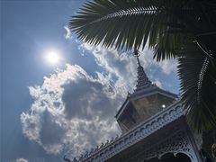 -中国科学院西双版纳热带植物园