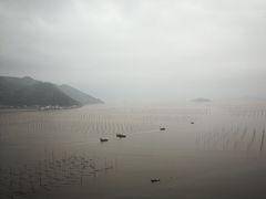 -北岐滩涂
