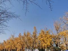 -金陵图书馆