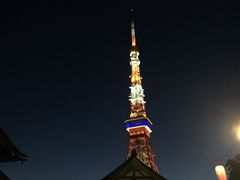 -东京塔海贼王主题公园