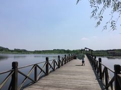 -溱湖国家湿地公园