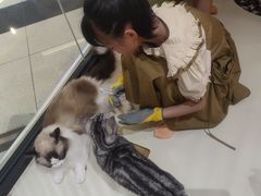 -三花喵·撸猫购宠·宠物生活馆(虹桥南丰城店)