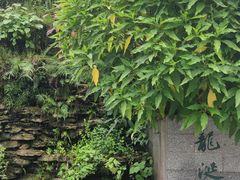 -广州神农草堂中医药博物馆