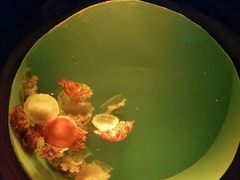 -常州海昌海洋探索馆