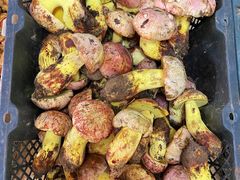 -双喜农庄·菌香园(安居家园店)