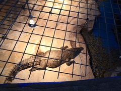 -石林冰雪海洋世界