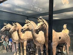 -秦始皇帝陵博物院-丽山园