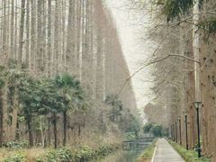 -上海怡沁园度假酒店