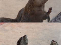-杭州野生动物世界