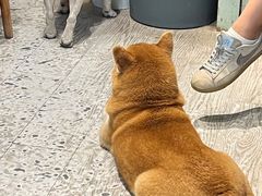 -小时光咖啡馆(北锣鼓巷店)