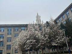 -宁恩承图书馆
