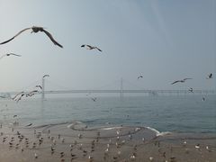 -星海广场