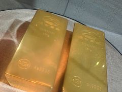 -烟台自然博物馆