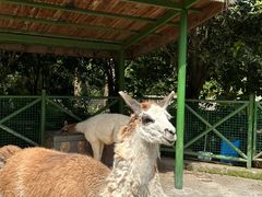 -杭州野生动物世界