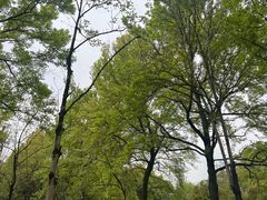 -杭州植物园