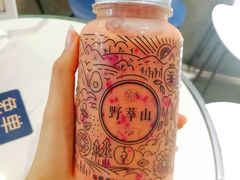 -野萃山·潮汕厚果汁(十亩地店)