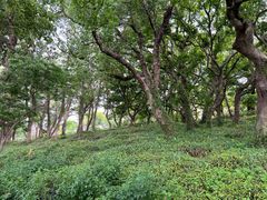 -平湖九龙山旅游度假区