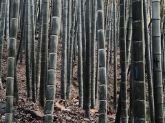 -宝石山