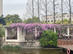 -郑和公园